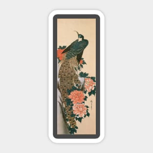 Peacock and Peonies Sticker